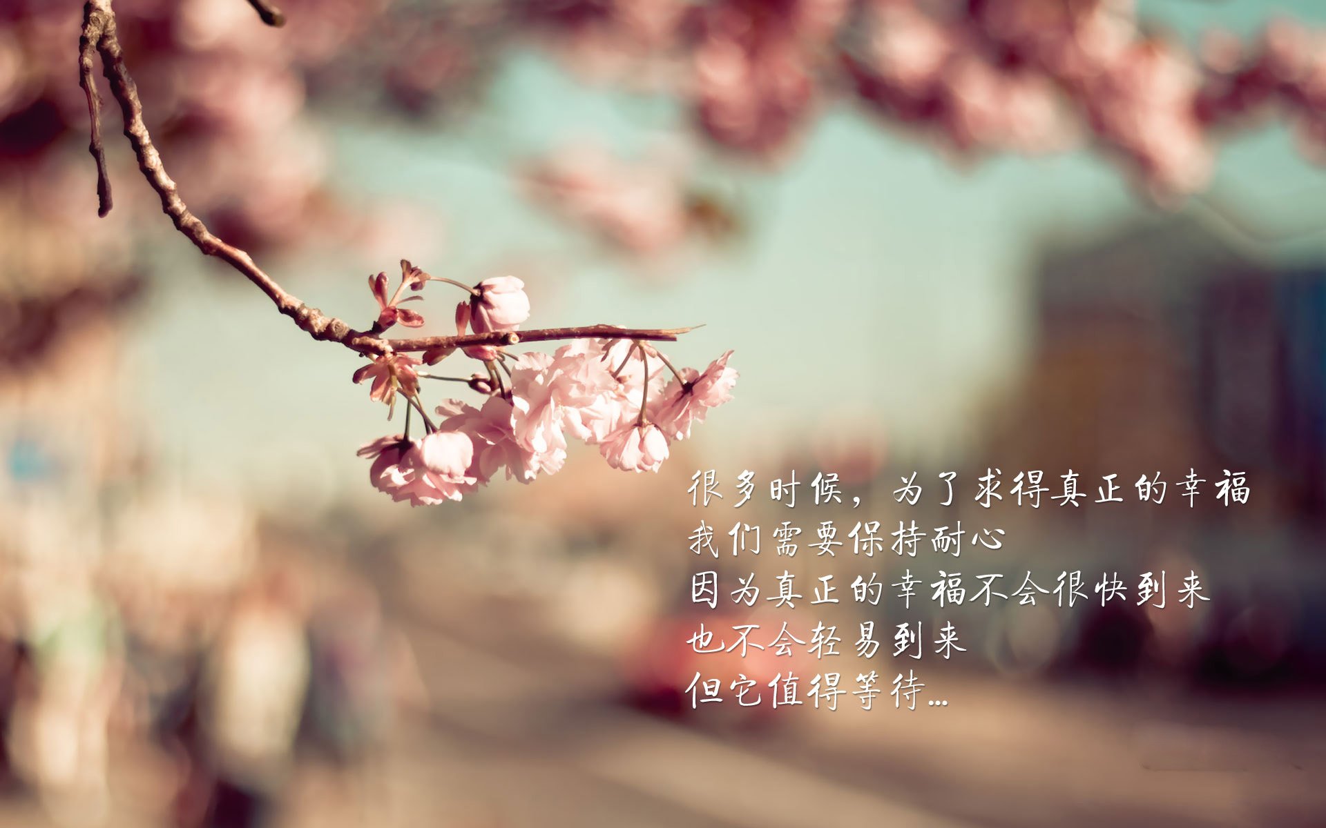 奥运周期关键战之夜，卡马文加用实力证明自己