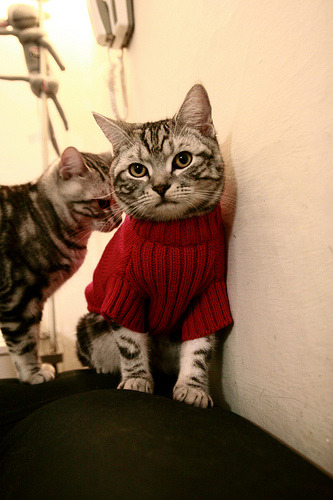 双线奏凯，基耶萨一锤定音，瑞士铁骑全面压制摩洛哥