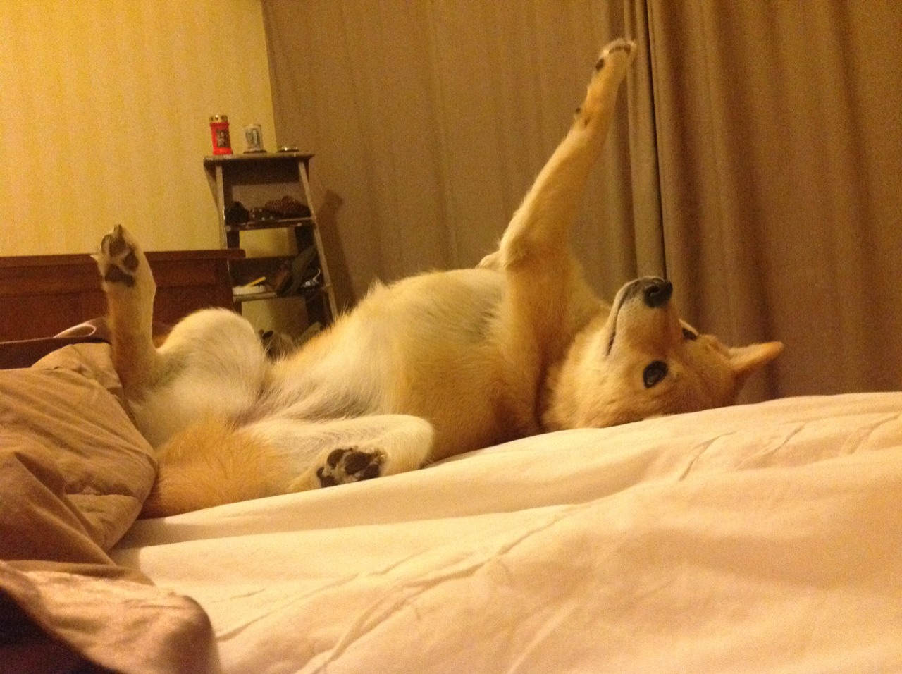 班凯罗对手完全无解，灰熊与吉林队的跨联赛启示