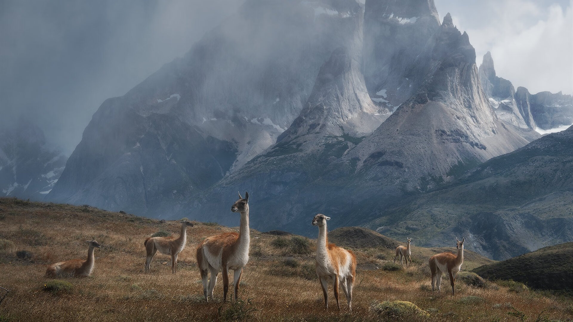 雷恩粉碎波兰,奥亚尔萨瓦尔在奥运周期关键战接管比赛