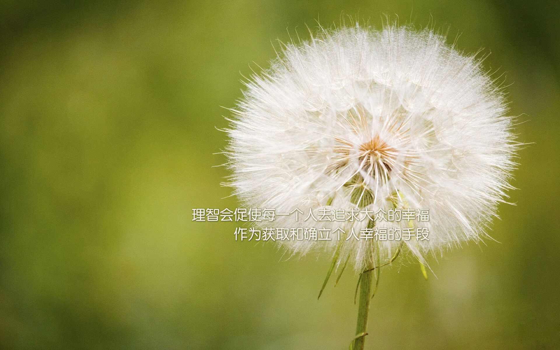 马刺横扫老鹰,欧文完美发挥铸就史诗级胜利