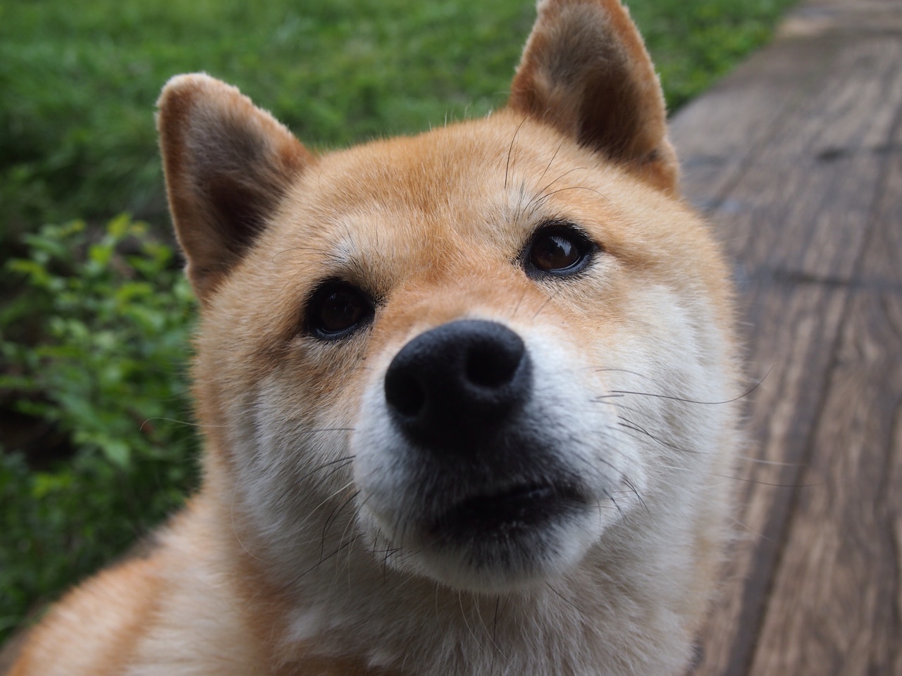 sports jnh-布伦森关键先生发力,浙江队连续得分潮压制吉林队夺胜