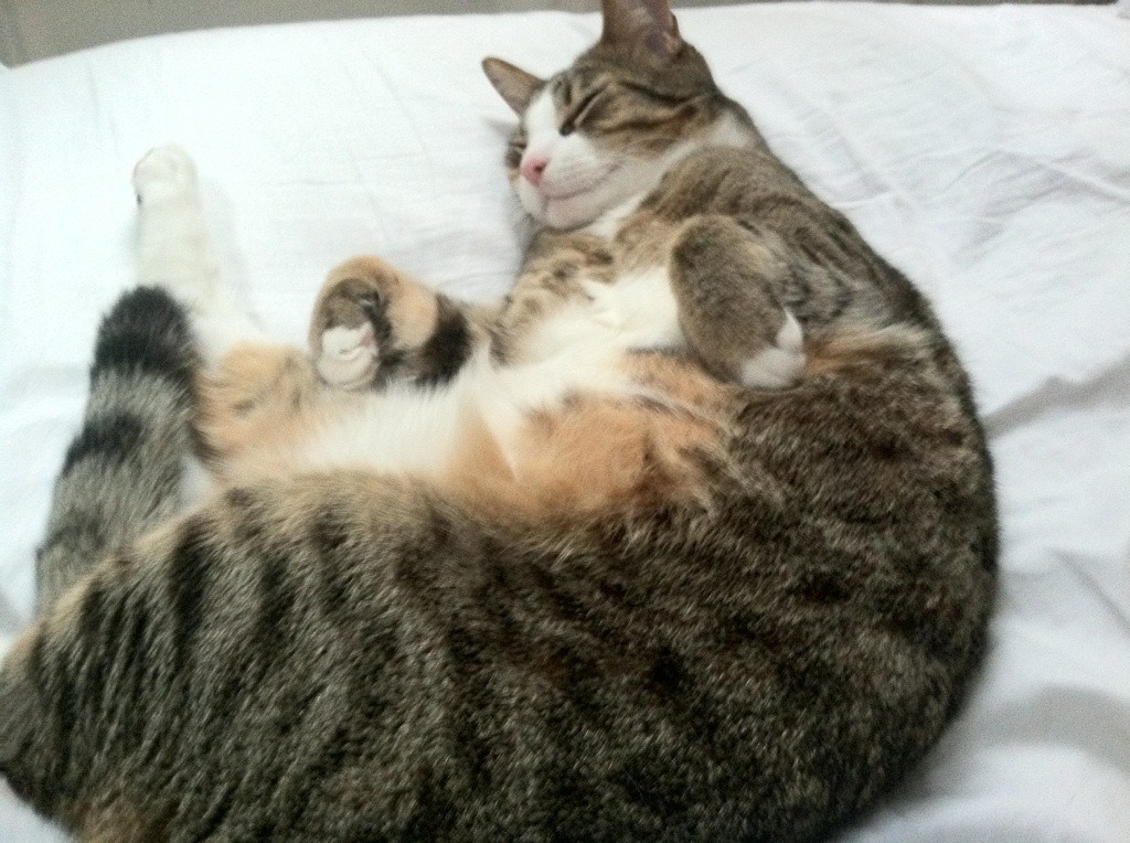 从致命失误到全场主宰，阿克用血肉之躯完成自我救赎